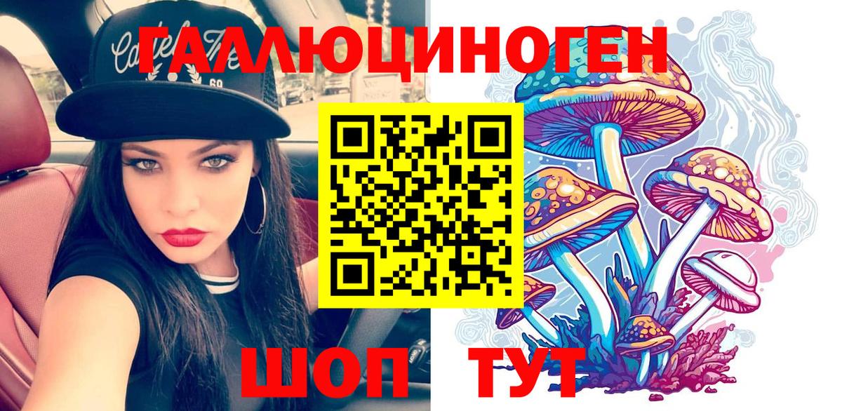 Галлюциногенные грибы Psilocybine cubensis Котовск