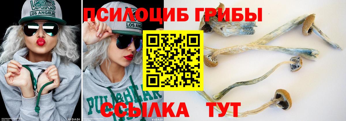Псилоцибиновые грибы прущие грибы  Вход с VPN  Котовск  Галлюциногенные грибы прущие грибы 